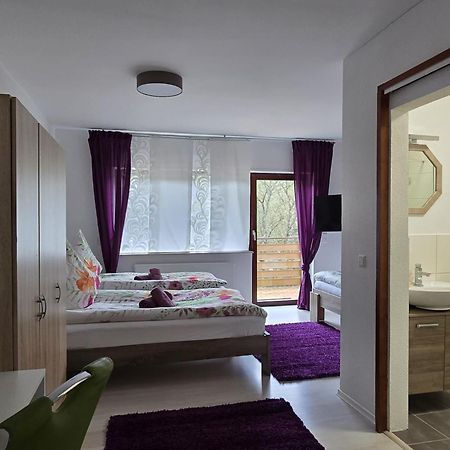 La Casa Suciu Daire Forchtenberg Dış mekan fotoğraf